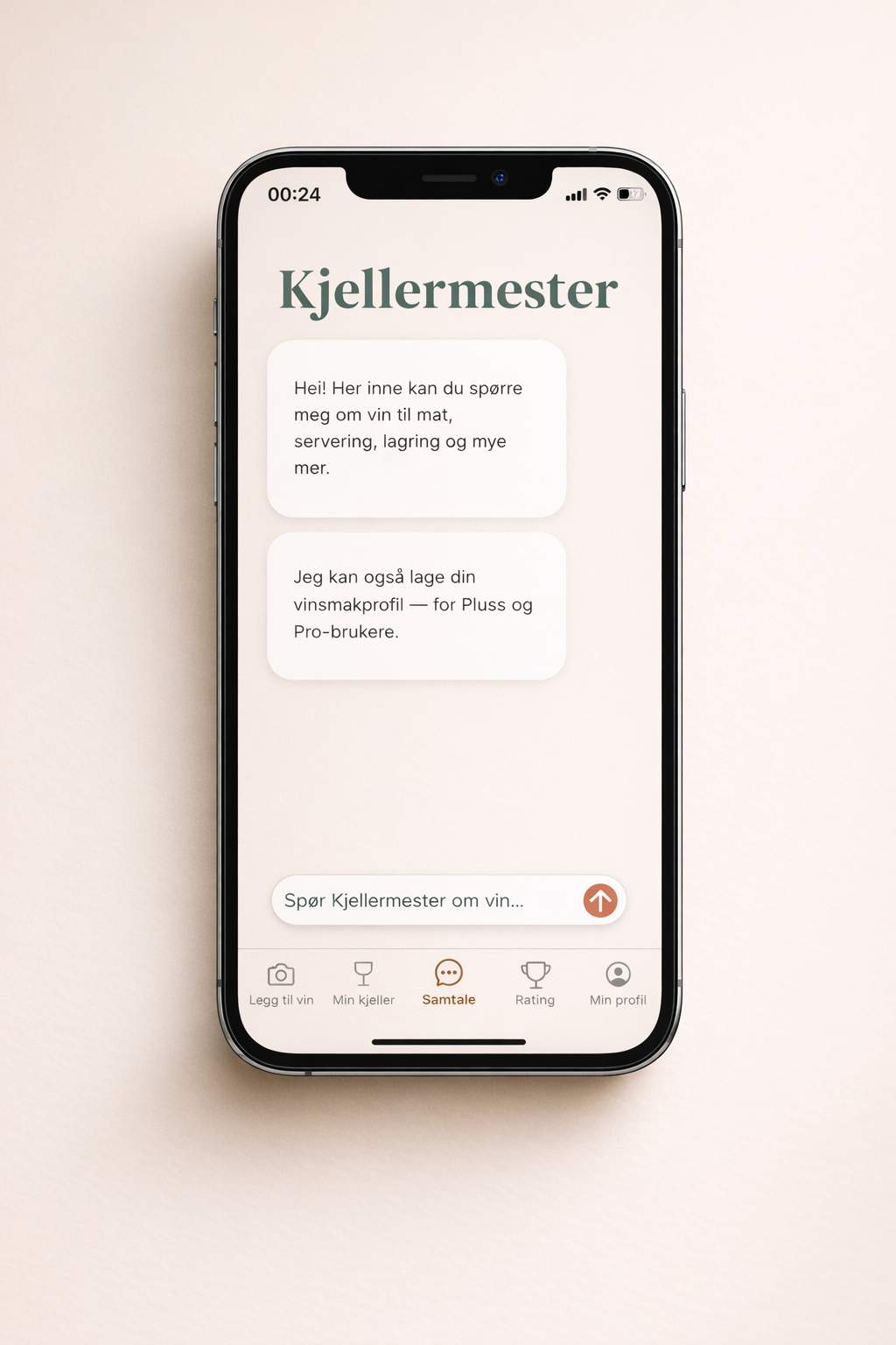 Feature screenshot: chat